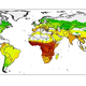 Illustration for article titled New Maps Identify Possible Hot Spots for Bat-Transmitted Diseases